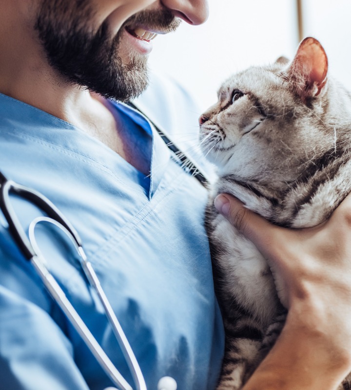 PHARMADIET EQUIPO DE PROFESIONALES VETERINARIOS