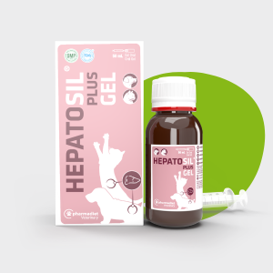 Hepatosil PLUS® Gel