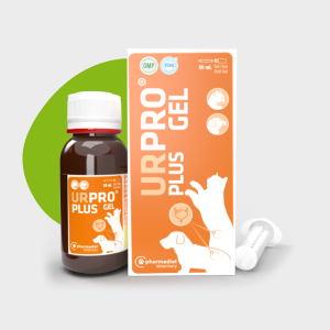 Urpro® Plus Gel