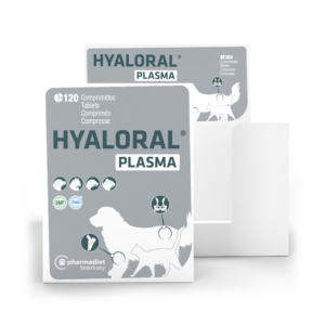 Hyaloral® Plasma