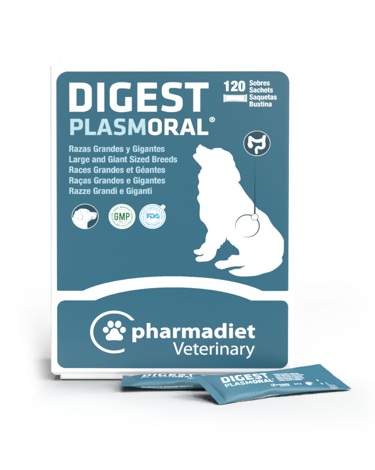 Digest Plasmoral® Grandes et Géantes Races