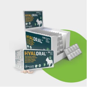 Hyaloral® Petites et Moyannes Races