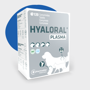 Hyaloral® Plasma