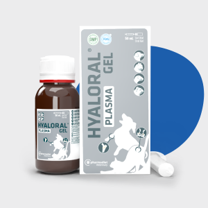 Hyaloral® Plasma Gel